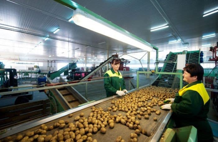 Фасовщик продукции — фото или видео вакансии